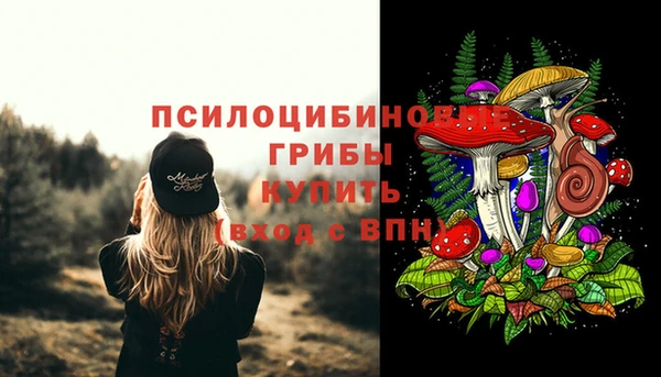 кристаллы Ельня
