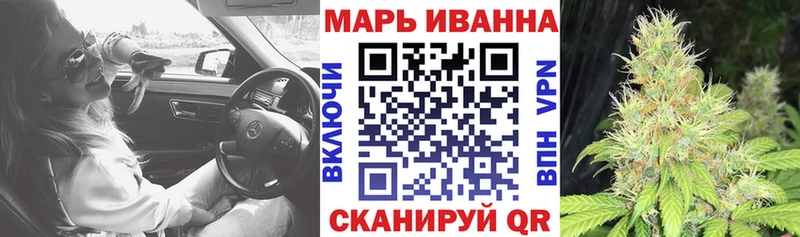 наркота  Нефтекумск  Канабис сатива 